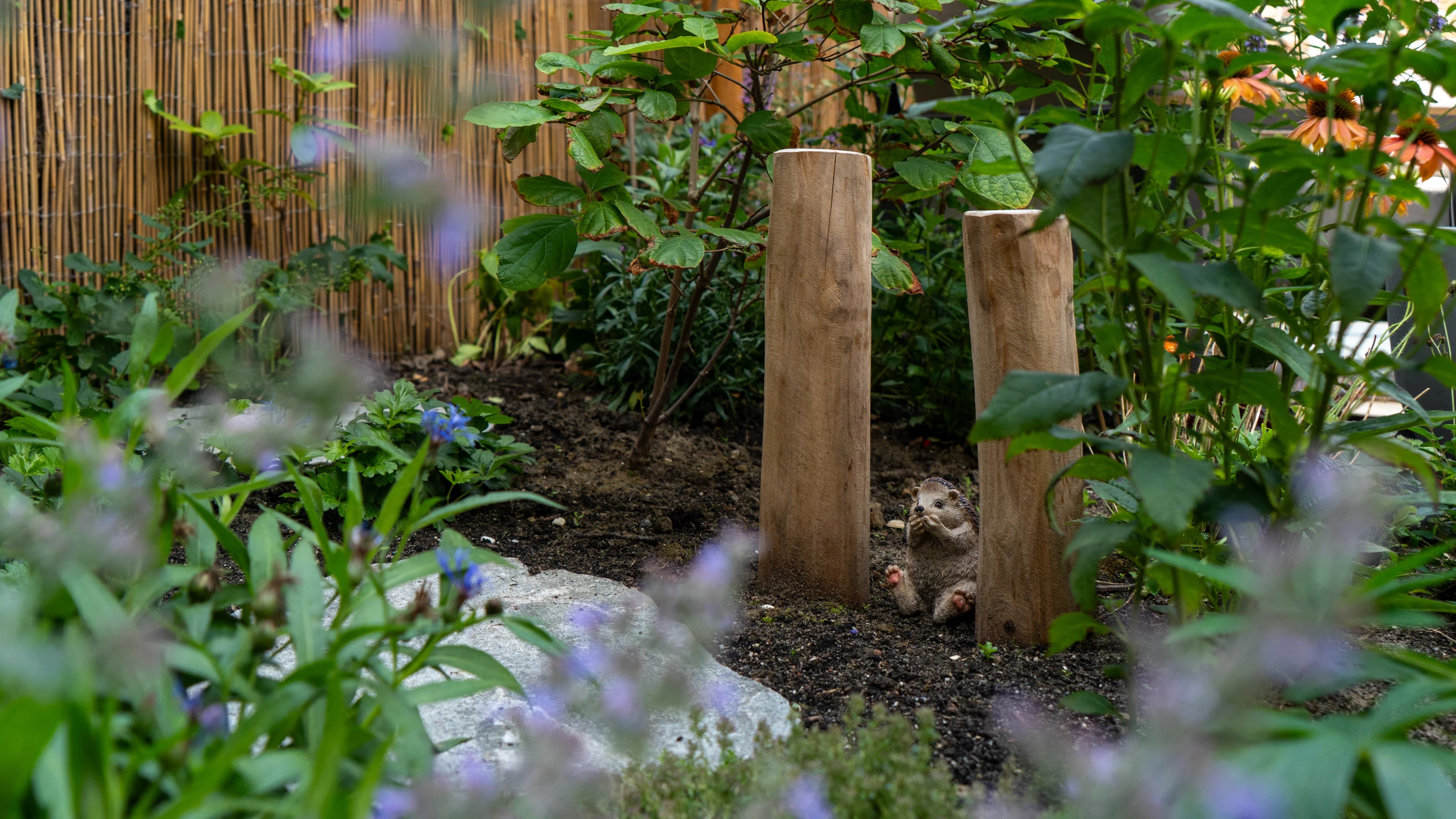 Eco Green Garden Design