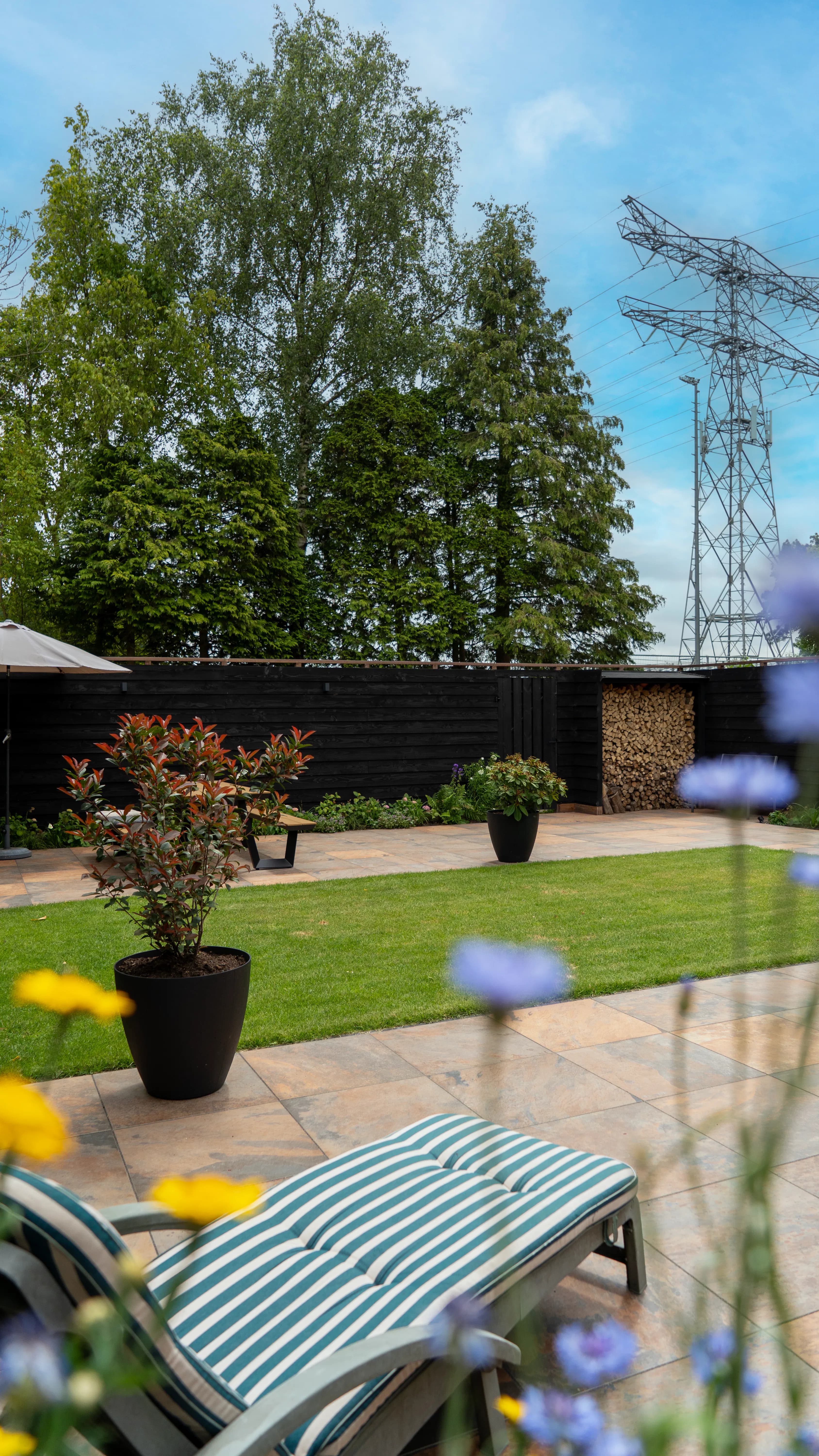 Japandi Contemporary Garden